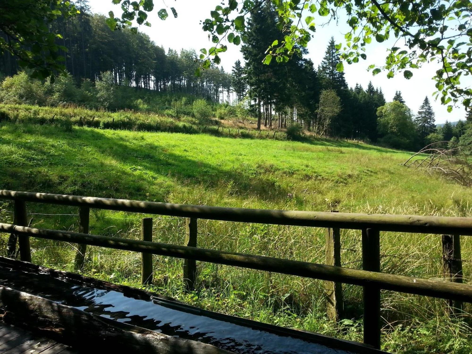 Cosy Apartment Over Usseln With Private Terrace Willingen  Esterno foto